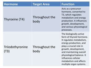 Hormone Target Area Function
Thyroxine (T4)
Throughout the
body
Acts as a precursor
hormone, converted to
T3, which regulates
metabolism and energy
production. It influences
growth, development,
and various physiological
processes.
Triiodothyronine
(T3)
Throughout the
body
The biologically active
form of thyroid hormone.
It regulates metabolism,
energy production, and
plays a crucial role in
growth, development,
and maintaining overall
physiological balance. It
influences cellular
metabolism and affects
multiple organ systems.
 