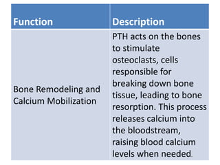 Function Description
Bone Remodeling and
Calcium Mobilization
PTH acts on the bones
to stimulate
osteoclasts, cells
responsible for
breaking down bone
tissue, leading to bone
resorption. This process
releases calcium into
the bloodstream,
raising blood calcium
levels when needed.
 