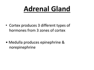 Adrenal Gland
• Cortex produces 3 different types of
hormones from 3 zones of cortex
• Medulla produces epinephrine &
norepinephrine
 