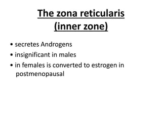 The zona reticularis
(inner zone)
• secretes Androgens
• insignificant in males
• in females is converted to estrogen in
postmenopausal
 