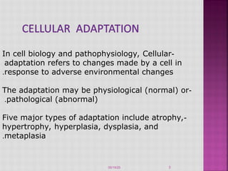 Unit 6_ CELLULAR ADAPTATION AND ABERRANT CELL GROWTH.ppt