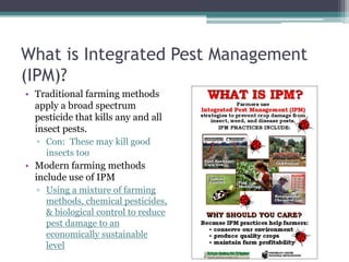 What is Integrated Pest Management
(IPM)?
• Traditional farming methods
apply a broad spectrum
pesticide that kills any and all
insect pests.
▫ Con: These may kill good
insects too
• Modern farming methods
include use of IPM
▫ Using a mixture of farming
methods, chemical pesticides,
& biological control to reduce
pest damage to an
economically sustainable
level
 