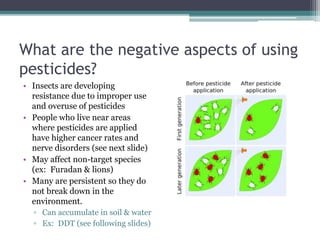 What are the negative aspects of using
pesticides?
• Insects are developing
resistance due to improper use
and overuse of pesticides
• People who live near areas
where pesticides are applied
have higher cancer rates and
nerve disorders (see next slide)
• May affect non-target species
(ex: Furadan & lions)
• Many are persistent so they do
not break down in the
environment.
▫ Can accumulate in soil & water
▫ Ex: DDT (see following slides)
 