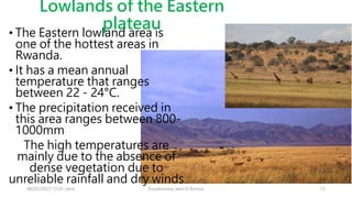 Lowlands of the Eastern
plateau
08/02/2023 12:05 carra Dusabimana Jean D Amour 13
• The Eastern lowland area is
one of the hottest areas in
Rwanda.
• It has a mean annual
temperature that ranges
between 22 - 24°C.
• The precipitation received in
this area ranges between 800-
1000mm
The high temperatures are
mainly due to the absence of
dense vegetation due to
unreliable rainfall and dry winds
 