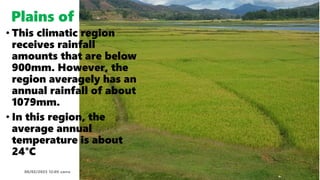 Plains of Bugarama
08/02/2023 12:05 carra Dusabimana Jean D Amour 15
• This climatic region
receives rainfall
amounts that are below
900mm. However, the
region averagely has an
annual rainfall of about
1079mm.
• In this region, the
average annual
temperature is about
24°C
 