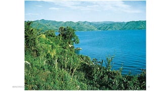 08/02/2023 12:05 carra Dusabimana Jean D Amour 19
 