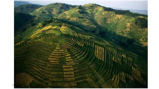 08/02/2023 12:05 carra Dusabimana Jean D Amour 20
 