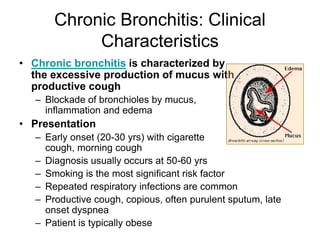 Chronic Bronchitis: Clinical
Characteristics
• Chronic bronchitis is characterized by
the excessive production of mucus with
productive cough
– Blockade of bronchioles by mucus,
inflammation and edema
• Presentation
– Early onset (20-30 yrs) with cigarette
cough, morning cough
– Diagnosis usually occurs at 50-60 yrs
– Smoking is the most significant risk factor
– Repeated respiratory infections are common
– Productive cough, copious, often purulent sputum, late
onset dyspnea
– Patient is typically obese
 