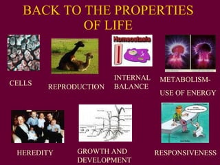 BACK TO THE PROPERTIES OF LIFE CELLS REPRODUCTION METABOLISM-  USE OF ENERGY HEREDITY RESPONSIVENESS GROWTH AND DEVELOPMENT INTERNAL BALANCE 
