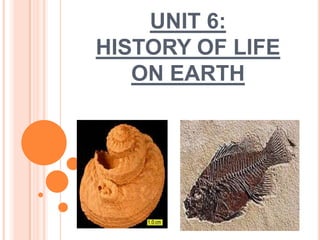 UNIT 6:
HISTORY OF LIFE
   ON EARTH
 