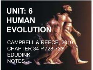 UNIT: 6
HUMAN
EVOLUTION
CAMPBELL & REECE, 2010
CHAPTER 34 P.728-733
EDUDINK
NOTES
 