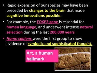 • Rapid expansion of our species may have been
preceded by changes to the brain that made
cognitive innovations possible.
• For example, the FOXP2 gene is essential for
human language, and underwent intense natural
selection during the last 200,000 years
• Homo sapiens were the first group to show
evidence of symbolic and sophisticated thought.
Art, a human
hallmark
 