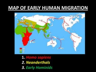 MAP OF EARLY HUMAN MIGRATION
1. Homo sapiens
2. Neanderthals
3. Early Hominids
 