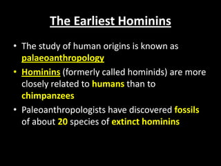 The Earliest Hominins
• The study of human origins is known as
palaeoanthropology
• Hominins (formerly called hominids) are more
closely related to humans than to
chimpanzees
• Paleoanthropologists have discovered fossils
of about 20 species of extinct hominins
 