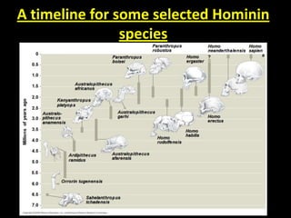 A timeline for some selected Hominin
species
 