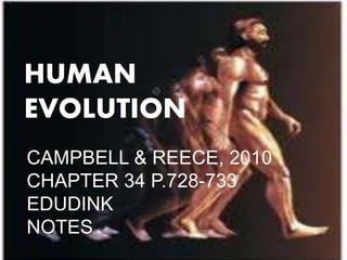 HUMAN
EVOLUTION
CAMPBELL & REECE, 2010
CHAPTER 34 P.728-733
EDUDINK
NOTES
 