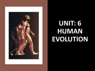 UNIT: 6
HUMAN
EVOLUTION
 