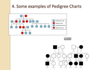 4. Some examples of Pedigree Charts
 
