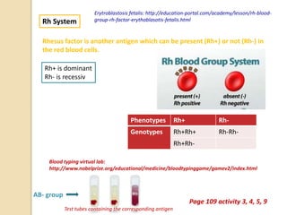 Unit 6 Human Genetics | PPTX