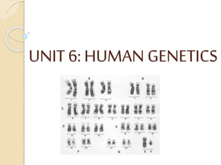 UNIT 6: HUMAN GENETICS
 