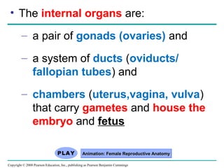 Copyright © 2008 Pearson Education, Inc., publishing as Pearson Benjamin Cummings
• The internal organs are:
– a pair of gonads (ovaries) and
– a system of ducts (oviducts/
fallopian tubes) and
– chambers (uterus,vagina, vulva)
that carry gametes and house the
embryo and fetus
Animation: Female Reproductive AnatomyAnimation: Female Reproductive Anatomy
 
