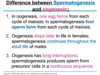 Copyright © 2008 Pearson Education, Inc., publishing as Pearson Benjamin Cummings
1. In oogenesis, one egg forms from each
cycle of meiosis; in spermatogenesis four
sperm form from each cycle of meiosis.
2. Oogenesis stops later in life in females;
spermatogenesis continues throughout the
adult life of males
3. Oogenesis has long interruptions;
spermatogenesis produces sperm from
precursor cells in a continuous sequence
Difference between Spermatogenesis
and oogenesis:
 