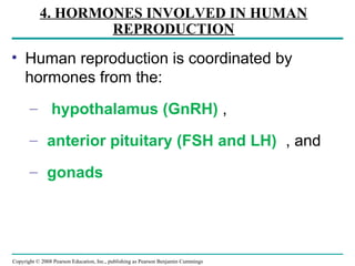 Copyright © 2008 Pearson Education, Inc., publishing as Pearson Benjamin Cummings
4. HORMONES INVOLVED IN HUMAN
REPRODUCTION
• Human reproduction is coordinated by
hormones from the:
– hypothalamus (GnRH) ,
– anterior pituitary (FSH and LH) , and
– gonads
 