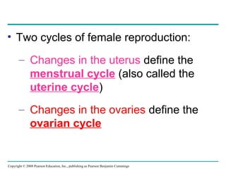 Copyright © 2008 Pearson Education, Inc., publishing as Pearson Benjamin Cummings
• Two cycles of female reproduction:
– Changes in the uterus define the
menstrual cycle (also called the
uterine cycle)
– Changes in the ovaries define the
ovarian cycle
 