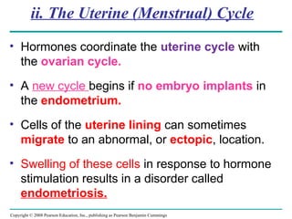 Copyright © 2008 Pearson Education, Inc., publishing as Pearson Benjamin Cummings
ii. The Uterine (Menstrual) Cycle
• Hormones coordinate the uterine cycle with
the ovarian cycle.
• A new cycle begins if no embryo implants in
the endometrium.
• Cells of the uterine lining can sometimes
migrate to an abnormal, or ectopic, location.
• Swelling of these cells in response to hormone
stimulation results in a disorder called
endometriosis.
 