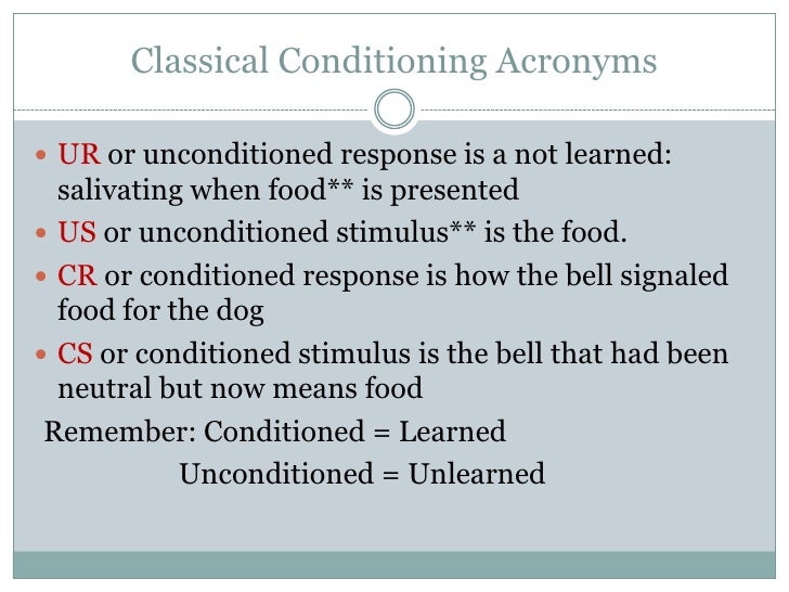 Unit 6 learningrev[1] final
