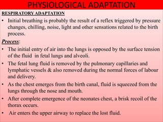 PHYSIOLOGICAL ADAPTATION
RESPIRATORY ADAPTATION
• Initial breathing is probably the result of a reflex triggered by pressure
changes, chilling, noise, light and other sensations related to the birth
process.
Process:
• The initial entry of air into the lungs is opposed by the surface tension
of the fluid in fetal lungs and alveoli.
• The fetal lung fluid is removed by the pulmonary capillaries and
lymphatic vessels & also removed during the normal forces of labour
and delivery.
• As the chest emerges from the birth canal, fluid is squeezed from the
lungs through the nose and mouth.
• After complete emergence of the neonates chest, a brisk recoil of the
thorax occurs.
• Air enters the upper airway to replace the lost fluid.
 