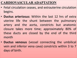 CARDIOVASCULAR ADAPTATION
• Fetal circulation ceases, and extrauterine circulation
begins.
• Ductus arteriosus: Within the last 12 hrs of extra
uterine life the shunt between the pulmonary
artery and the aorta, constricts but anatomic
closure takes more time; approximately 80% of
these ducts are closed by the end of the third
month
• Ductus venosus (vessel connecting the umbilical
vein and inferior vena cava) constricts within 3 to 7
days of birth.
 