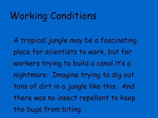 Working Conditions A tropical jungle may be a fascinating place for scientists to work, but for workers trying to build a canal it’s a nightmare.  Imagine trying to dig out tons of dirt in a jungle like this.  And  there was no insect repellent to keep the bugs from biting. 