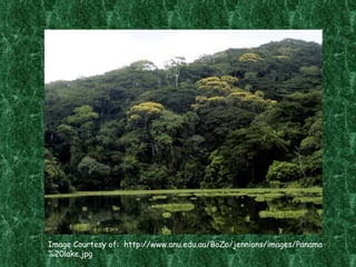 Image Courtesy of:  http://www.anu.edu.au/BoZo/jennions/images/Panama%20lake.jpg 