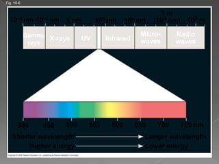 Fig. 10-6


                                                         1m
  10–5 nm 10–3 nm      1 nm       103 nm      106 nm   (109 nm)    103 m

            Gamma                                 Micro-      Radio
                  X-rays     UV     Infrared      waves       waves
             rays




                              Visible light



       380       450   500    550     600       650     700       750 nm
    Shorter wavelength                             Longer wavelength
         Higher energy                             Lower energy
 