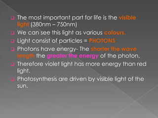    The most important part for life is the visible
    light (380nm – 750nm)
   We can see this light as various colours.
   Light consist of particles = PHOTONS
   Photons have energy- The shorter the wave
    length the greater the energy of the photon.
   Therefore violet light has more energy than red
    light.
   Photosynthesis are driven by visible light of the
    sun.
 