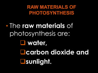 • The raw materials of
 photosynthesis are:
    water,
   carbon dioxide and
   sunlight.
 
