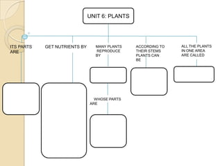 UNIT 6: PLANTS

ITS PARTS
ARE

GET NUTRIENTS BY

MANY PLANTS
REPRODUCE
BY

WHOSE PARTS
ARE

ACCORDING TO
THEIR STEMS
PLANTS CAN
BE

ALL THE PLANTS
IN ONE AREA
ARE CALLED

 