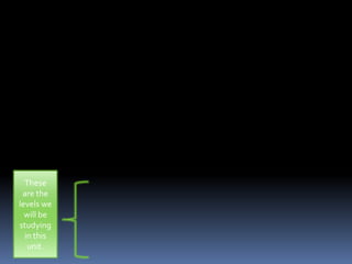 Unit 6 powerpoint | PPTX