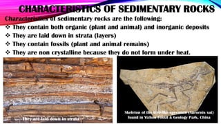 HOW SEDIMENTARY ROCKS FORM
There are three ways through which sedimentary rocks are
formed:
1) The pre-existing rocks are ...