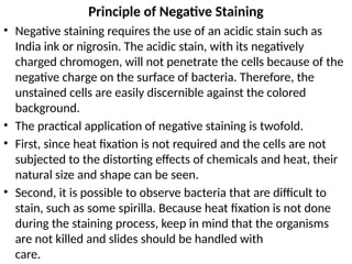 Negative Staining Example Staining used in bacteriology for CMLT level | PPTX
