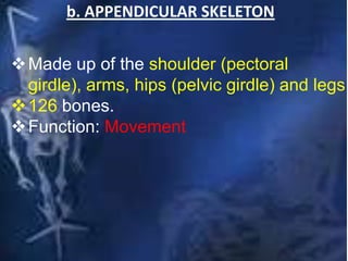 b. APPENDICULAR SKELETON
Made up of the shoulder (pectoral
girdle), arms, hips (pelvic girdle) and legs.
126 bones.
Function: Movement
 