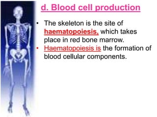 d. Blood cell production
• The skeleton is the site of
haematopoiesis, which takes
place in red bone marrow.
• Haematopoiesis is the formation of
blood cellular components.
 