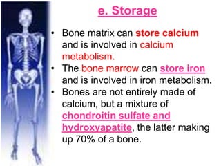 e. Storage
• Bone matrix can store calcium
and is involved in calcium
metabolism.
• The bone marrow can store iron
and is involved in iron metabolism.
• Bones are not entirely made of
calcium, but a mixture of
chondroitin sulfate and
hydroxyapatite, the latter making
up 70% of a bone.
 