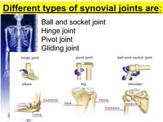 Different types of synovial joints are:
• Ball and socket joint
• Hinge joint
• Pivot joint
• Gliding joint
 