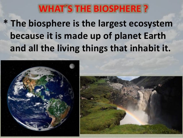 Biosphere Lesson For Kids Definition Facts Studycom