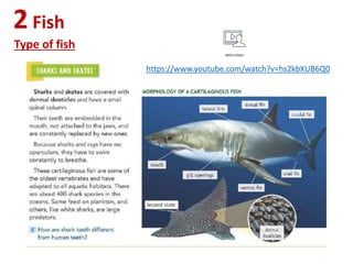 2Fish
Type of fish
https://www.youtube.com/watch?v=hs2kbXUB6Q0
 