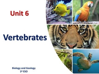 Unit 6
Vertebrates
Biology and Geology
1º ESO
 