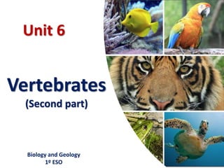 Unit 6
Vertebrates
(Second part)
Biology and Geology
1º ESO
 