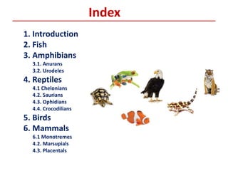 Index
1. Introduction
2. Fish
3. Amphibians
3.1. Anurans
3.2. Urodeles
4. Reptiles
4.1 Chelonians
4.2. Saurians
4.3. Ophidians
4.4. Crocodilians
5. Birds
6. Mammals
6.1 Monotremes
4.2. Marsupials
4.3. Placentals
 